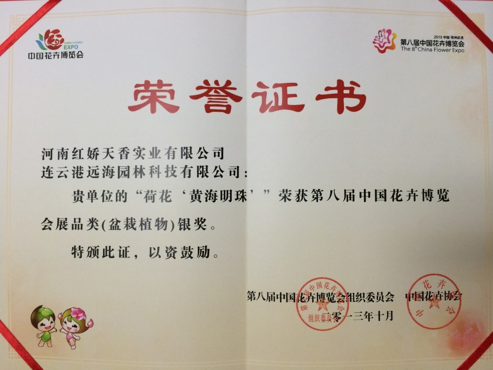 第8屆中國(guó)花卉博覽會(huì)銀獎(jiǎng)