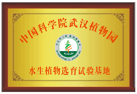 中國(guó)科學(xué)院武漢植物園水生植物選育試驗(yàn)基地